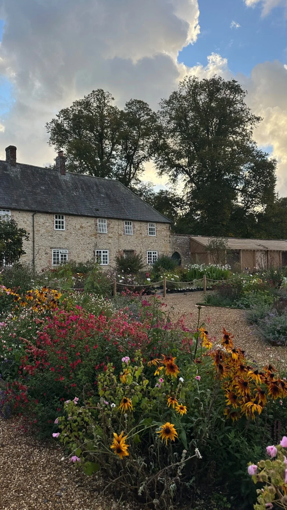 Literally my all time fave breakfast. I make this at least 2 times in a week Save for later ! Super high protein & so yummy • • • #applepie #highproteinbreakfast #highproteindiet #highproteinrecipes #highproteinmeals