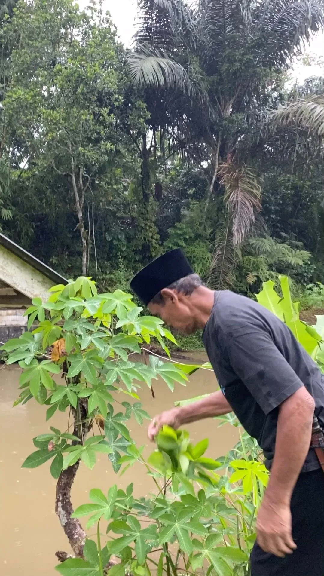 Petik sayuran lanjut makan malam di rumah panggung dan yang pasti makan dimanapun jangan lupa sambal Mpok Sur @okesnack_jkt